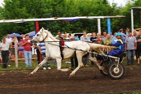 2012-konno-sportivny-prazdnik-shapkino