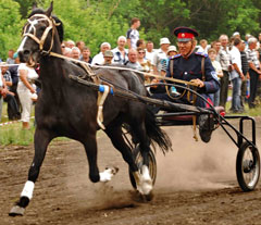 12 июня 2014 года на ипподроме села Шапкино состоялся 8-ой конно-спортивный праздник