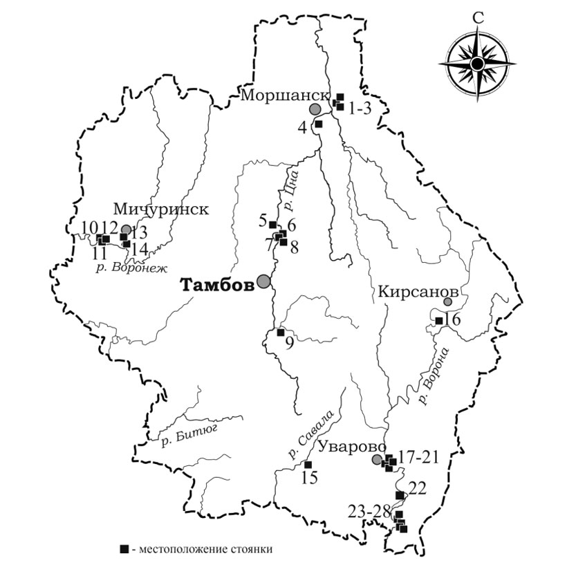 Неолитические памятники Тамбовской области