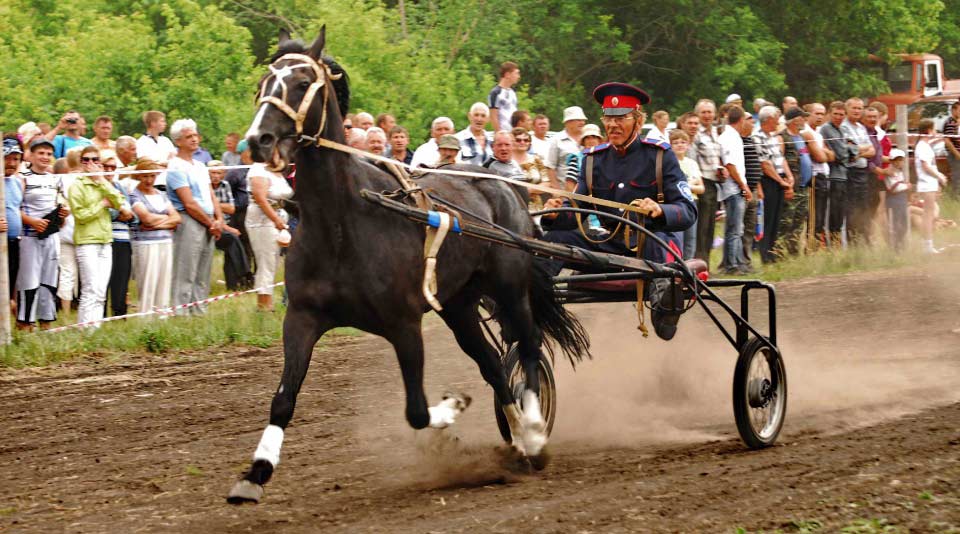 X ежегодный конно-спортивный праздник. 12 июня 2016 г., село Шапкино