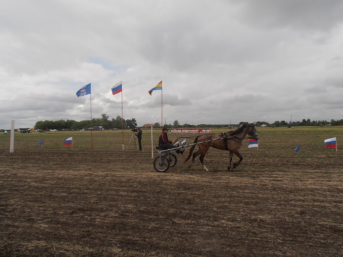 2014-06-12-8-ой конно-спортивный праздник